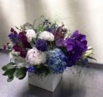 Best Florist in Berkeley CA - Orchid Florist