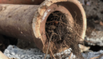 blocked pipe repair - sydney pipe relining - sydney